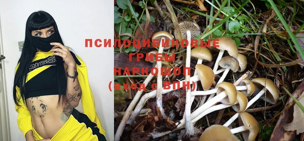 бутират Мегион