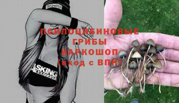 соль ск Медвежьегорск