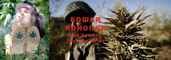 стаф Тобольск