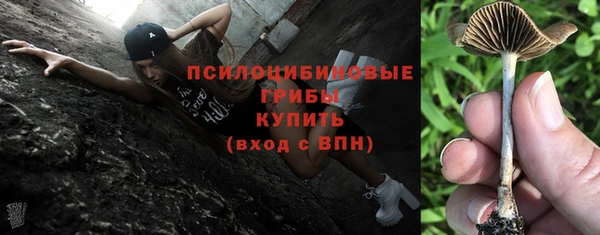 бутират Мегион