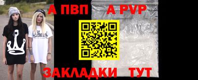стаф Кунгур