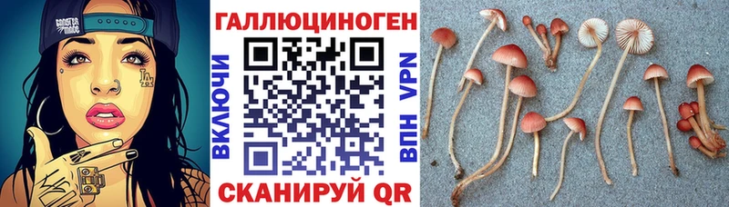 shop клад  где купить наркоту  Златоуст  Галлюциногенные грибы Cubensis 